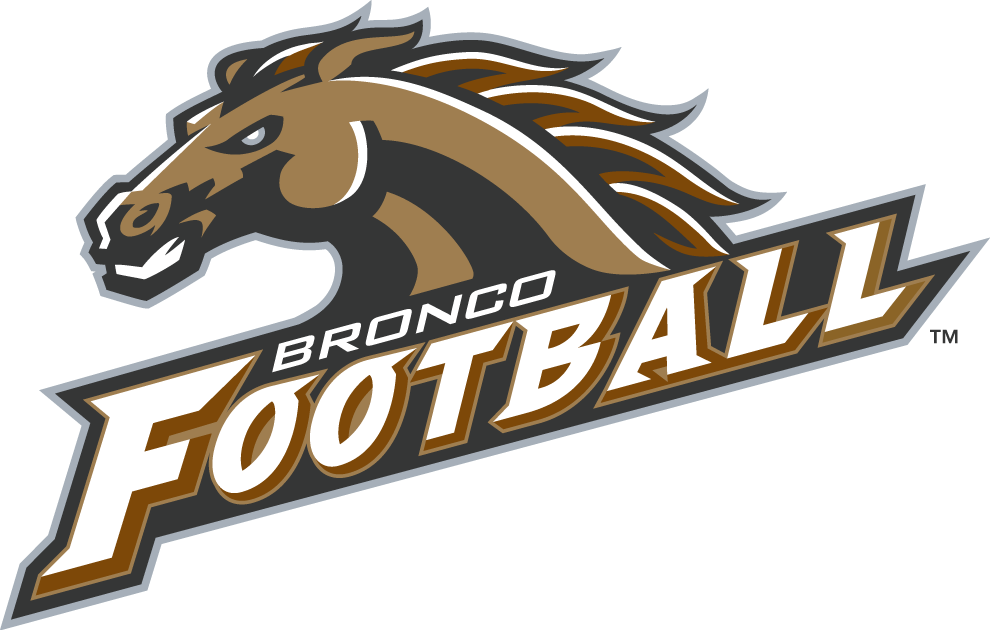 Western Michigan Broncos 1998-Pres Alternate Logo diy DTF decal sticker